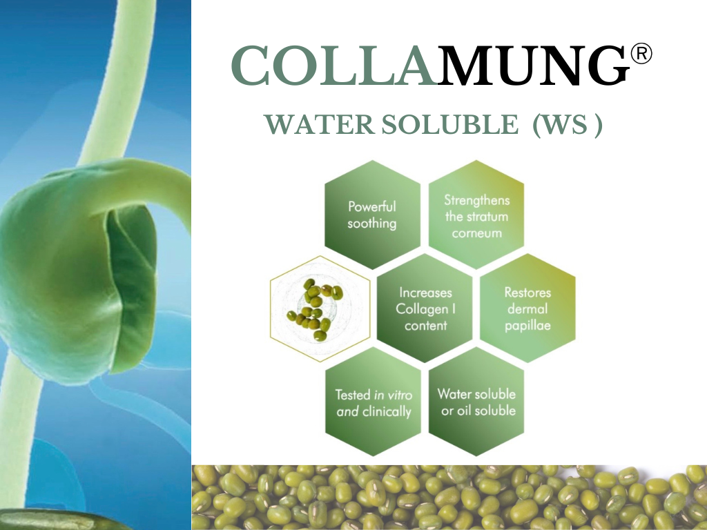 Collamung WS  สารสกัดเข้มข้นจากถั่วเขียว ที่อุดมด้วยโปรตีนและฟลาโวนอยด์ ช่วยผิวชุ่มชื้น แข็งแรงและต่อต้านการเกิดริ้วรอย